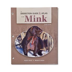 Read Online Dissection Guide And Atlas To The Mink 