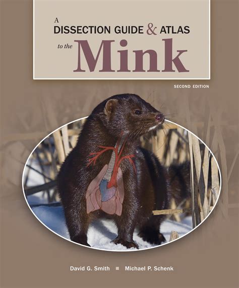 Read Dissection Guide And Atlas To The Mink Ebook 