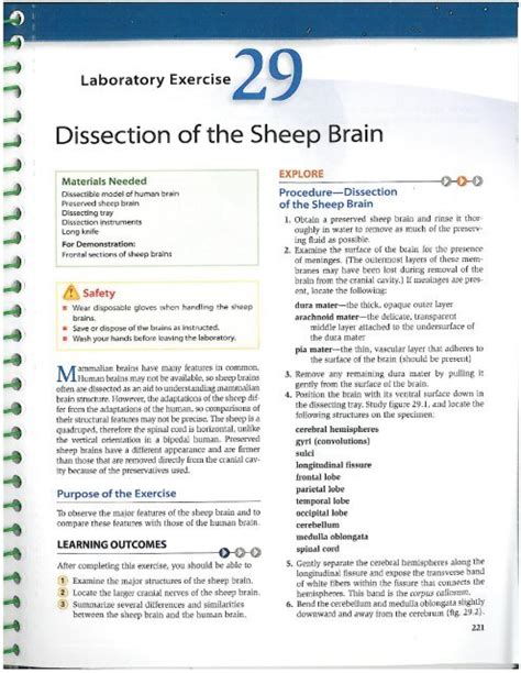 Read Online Dissection Of The Sheep Brain Lab 29 Answers 