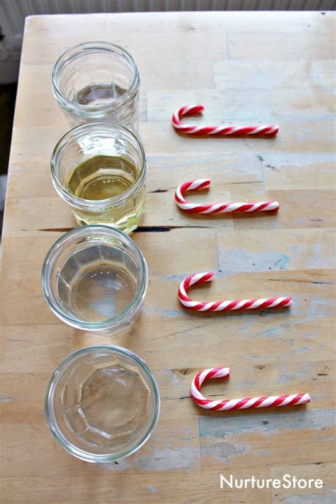 Dissolving Candy Cane Experiment Little Bins For Little Candy Science Experiment - Candy Science Experiment