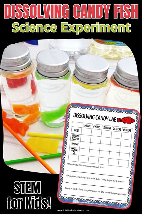 Dissolving Candy Fish Experiment Little Bins For Little Fish Science Activities For Preschoolers - Fish Science Activities For Preschoolers