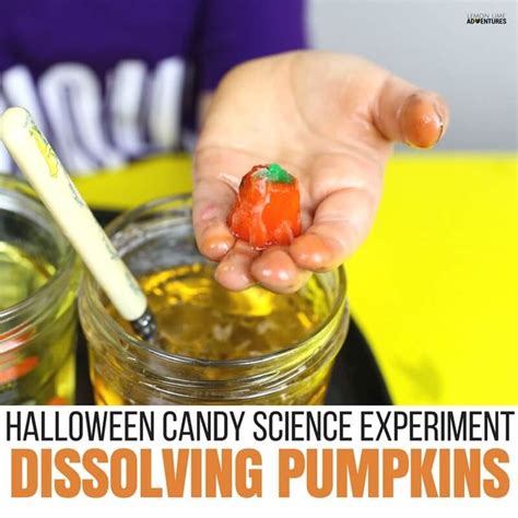 Dissolving Candy Pumpkins Super Fun Halloween Science For Pumpkin Science Experiments - Pumpkin Science Experiments
