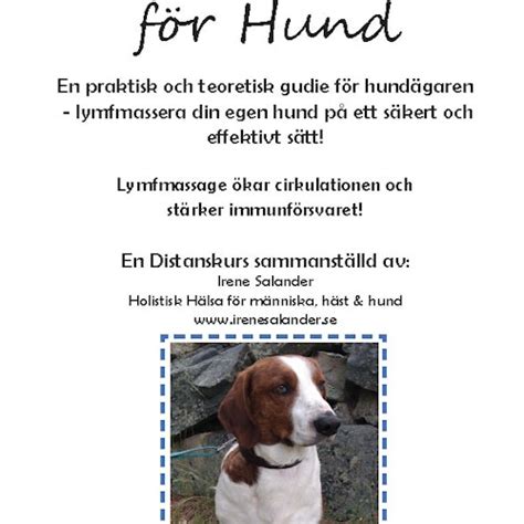 distanskurs hund