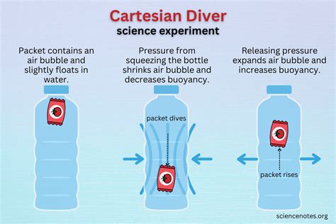 Dive Into Science The Cartesian Diver Experiment Buoyancy Science Experiments - Buoyancy Science Experiments