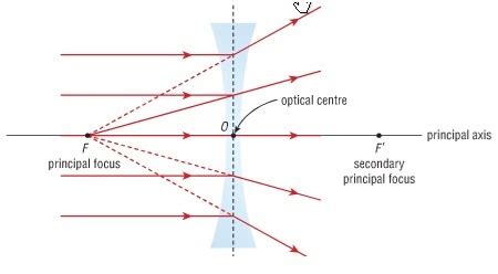 Diverging Lens Ray Diagram