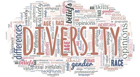 diversiteit betekenis