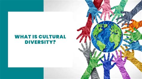 diversiteit definitie