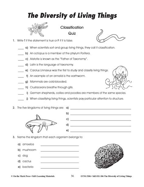 Diversity And Classification Answers
