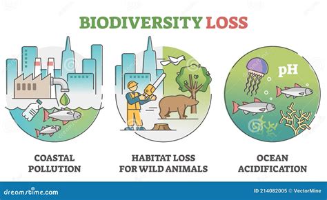 Diversity Free Full Text Biodiversity Loss And The Color By Number Biodiversity Answer Key - Color By Number Biodiversity Answer Key