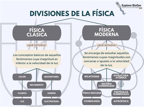 Divicion De La Fisica
