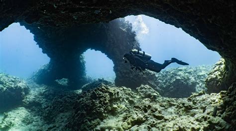 diving in hawaii