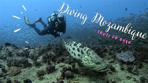 diving in mozambique
