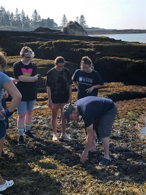 Diving Into Marine Science Boothbay Register Marine Science Experiments - Marine Science Experiments
