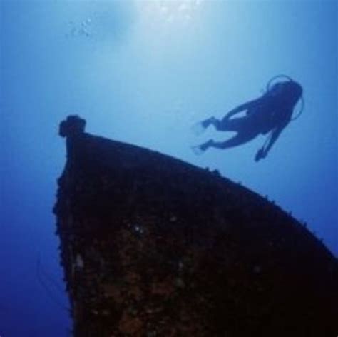 Diving Into The Wreck