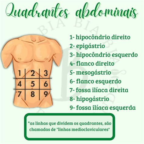 Divisões Do Abdome