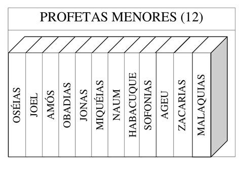 Divisão Da Biblia