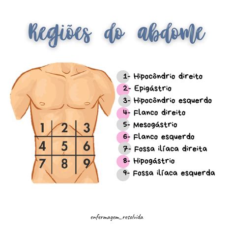 Divisão Do Abdome