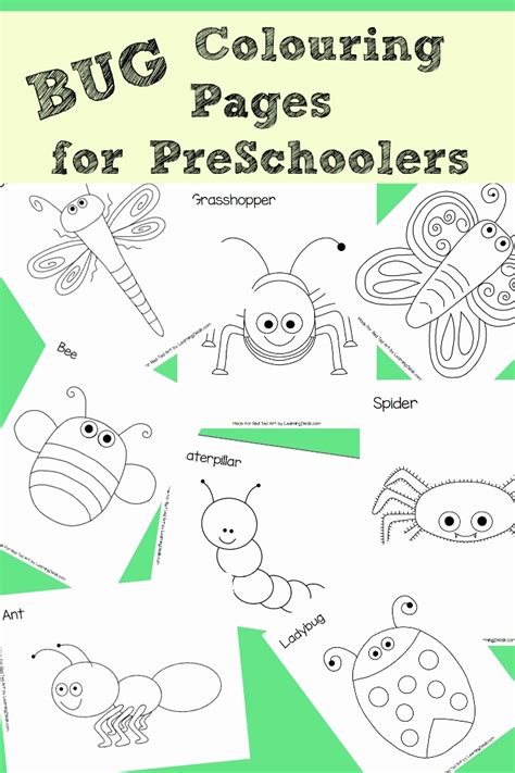 Diy 30 Explore Insect Worksheets For Preschoolers Preschool Insect Worksheets - Preschool Insect Worksheets