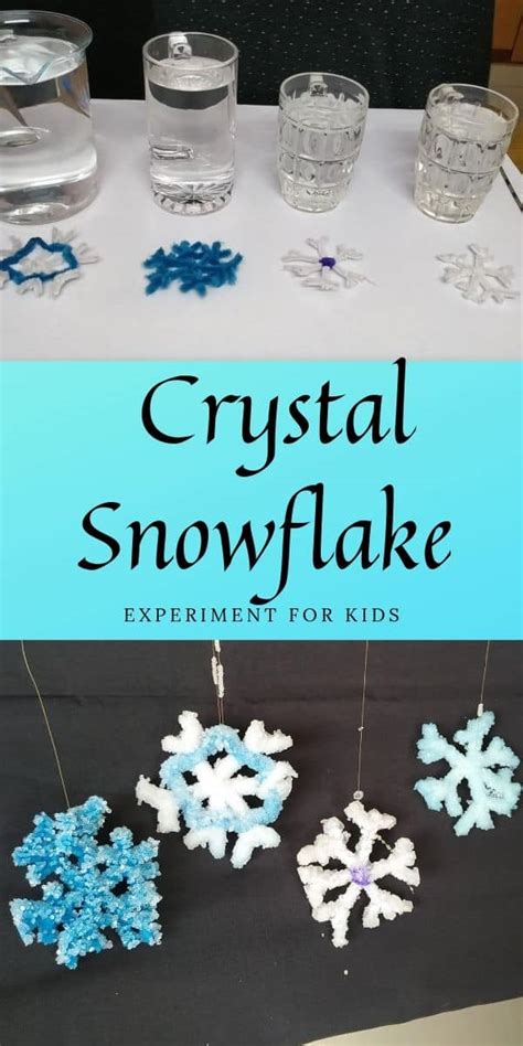 Diy Amazing Crystal Snowflakes Science Project For Kids Snowflake Science Experiments - Snowflake Science Experiments