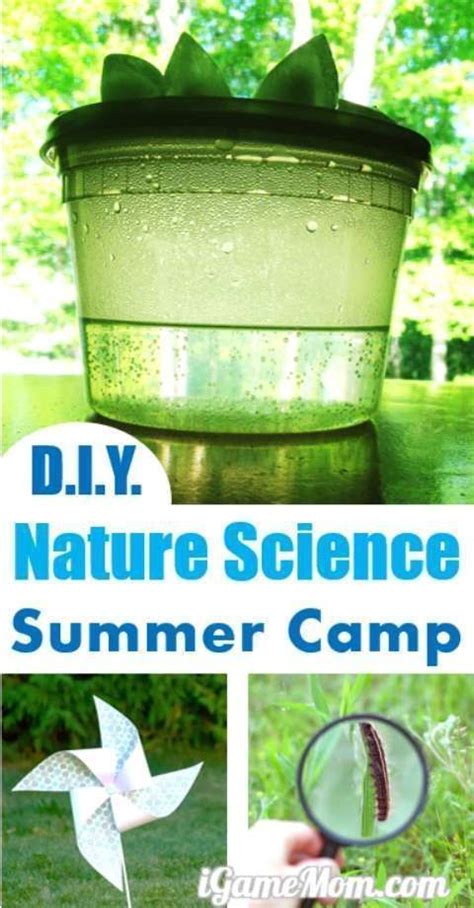 Diy Nature Science Summer Camp At Home Diy Science - Diy Science