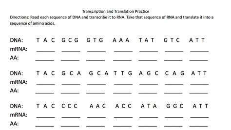 Diy Transcription And Translation Practice Worksheet Answers Biology Transcription And Translation Worksheet - Biology Transcription And Translation Worksheet