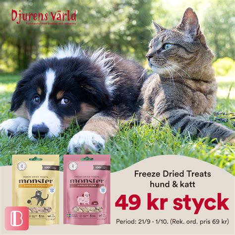 djurens värld sortiment