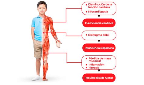 2h bet: Apostas Desportivas Online com Garantia de Segurança Financeira para Todos os Jogadores - Foto 2