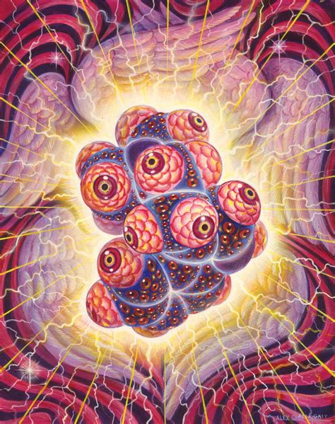 Dmt The Spirit