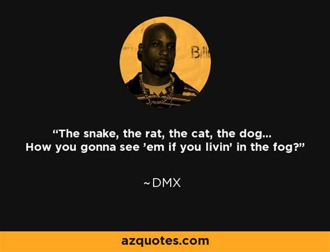 dmx snake rat cat dog