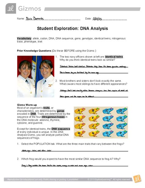 Dna Analysis Gizmo