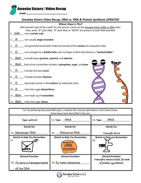 Dna And Rna Worksheet Answers Biology Transcription And Translation Worksheet - Biology Transcription And Translation Worksheet
