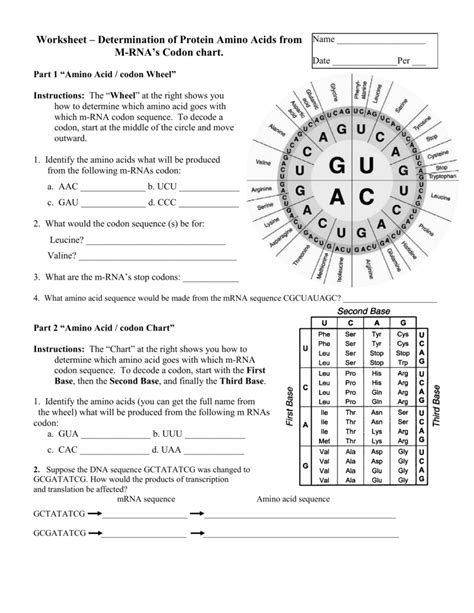 Dna And Rna Worksheet Answers Codon Practice Worksheet Answers - Codon Practice Worksheet Answers