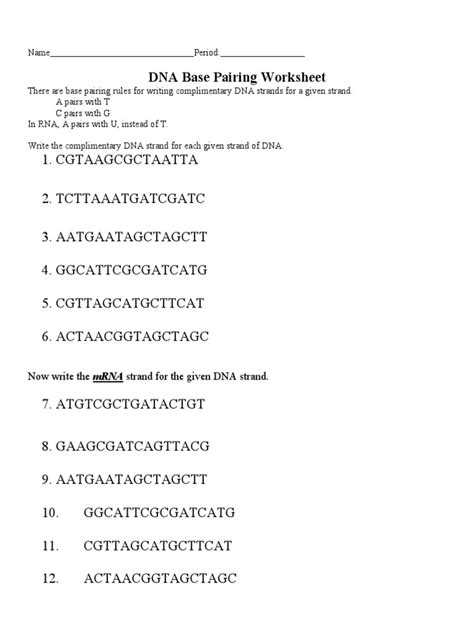 dna base pairing answer key