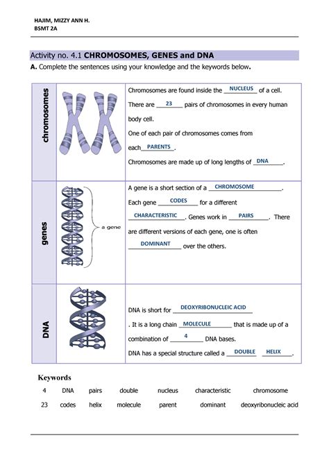 Dna Chromosomes Genes Amp Traits Intro To Heredity Chromosomes And Heredity Worksheet Answers - Chromosomes And Heredity Worksheet Answers
