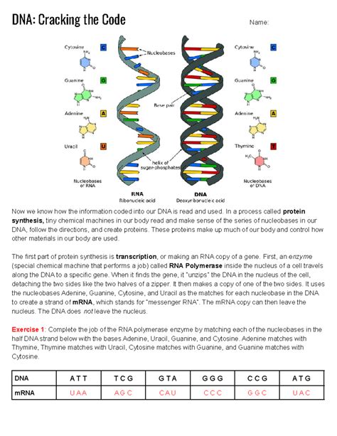 Dna Cracking The Code Of Life Answers