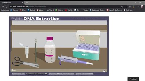 Dna Extraction Lab Answer Key