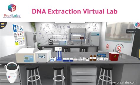 Dna Extraction Virtual Labs