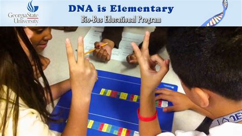 Dna Is Elementary Promoting Genetics Literacy Science Dna Activities For Elementary Students - Dna Activities For Elementary Students