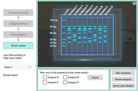 Dna Profiling Virtual Lab