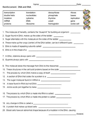 Dna Reinforcement Activity