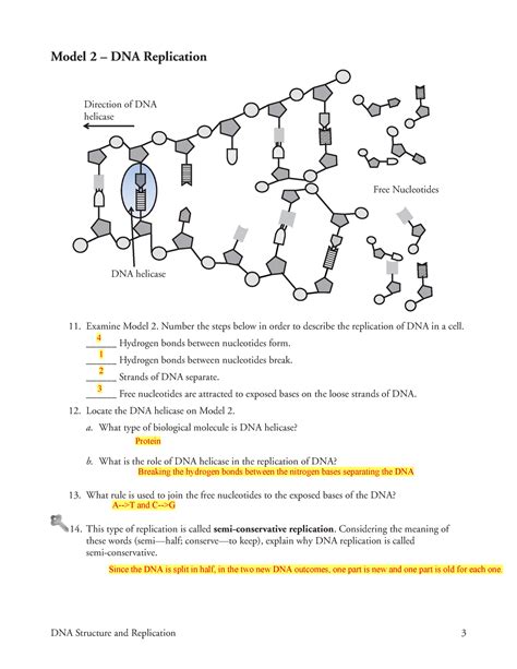 Dna Replication High School Answer Key