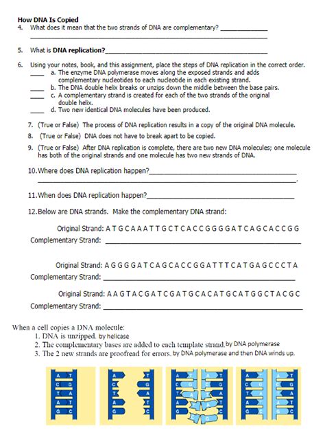 Dna Replication Practice