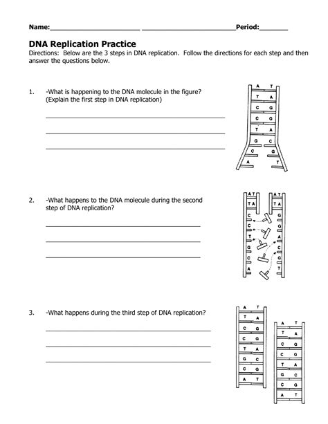 Dna Replication Practice Khan Academy Worksheet 16 Dna Replication - Worksheet 16 Dna Replication