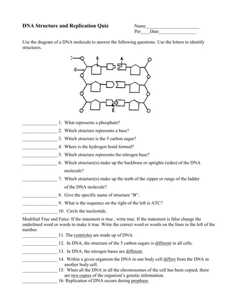dna replication test questions and answers