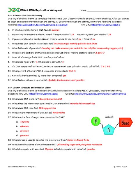 Dna Replication Webquest
