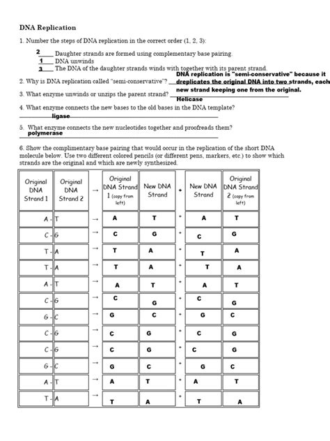 Dna Replication Worksheet Pdf