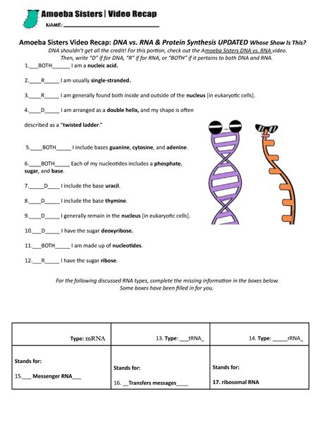 Dna Rna Amp Protein Synthesis Worksheet Flashcards Quizlet Protein Synthesis Practice Worksheet Answer Key - Protein Synthesis Practice Worksheet Answer Key