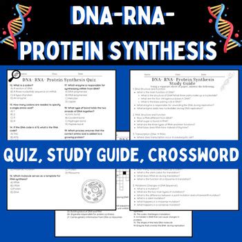 dna rna and protein synthesis study guide