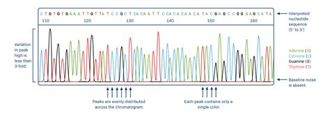 Dna Sequencing Data Analysis