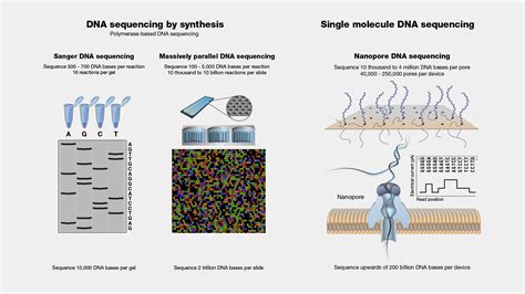 Dna Sequencing Methods